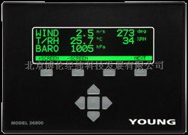 美国R.M.YOUNG 26800气象显示器