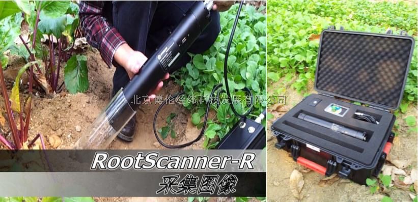 RootScanner‐R植物根系生长监测系统