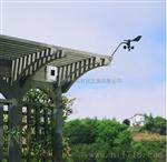 Davis Anemometer Transmitter Kit 6332无线风速风向站
