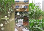 植物生理生态信息监测系统BLJW-4ZS