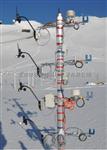 WS-CT8风吹雪粒子监测系统/风吹沙粒子监测系统/风蚀环境监测系统