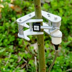 PDS40S树木茎秆生长变化传感器
