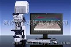 德国蔡司真彩色共聚焦显微镜Axio CSM 700