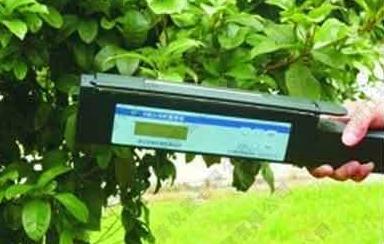 手持活体叶面积测量仪