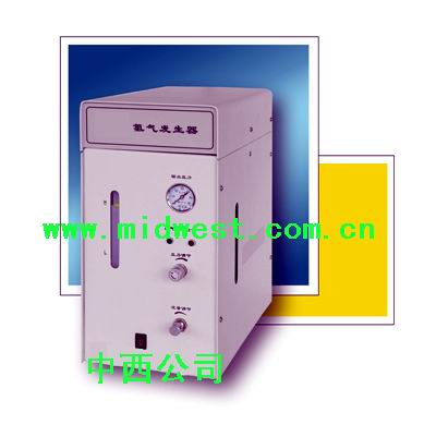 氢气发生器型号:JN11GR-300