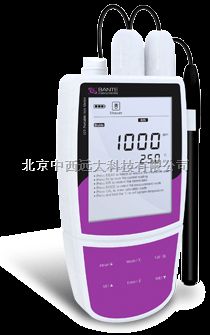 便携式氯离子浓度计/氯离子计库号：M180534   厂家直销