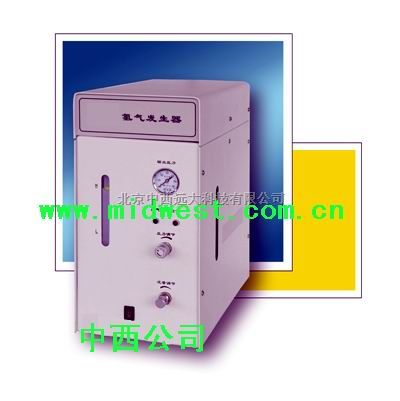氢气发生器型号:JN11GR-300