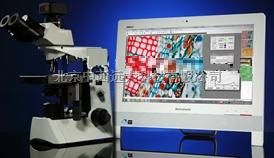   显微分析系统  MIC3
