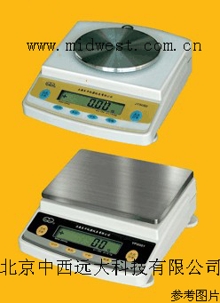 电子天平(2000g，0.1g)