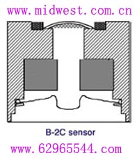 燃料电池(TELEDYNE)