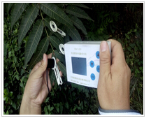 快速诱导叶绿素荧光仪