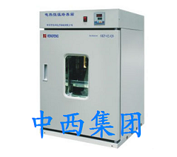 电热恒温培养箱/微生物培养箱