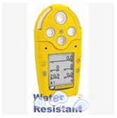 五合一气体检测仪 加拿大BW GasAlertMicro5