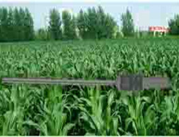 植物冠层分析仪