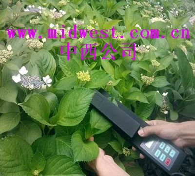 活体叶面积测量仪