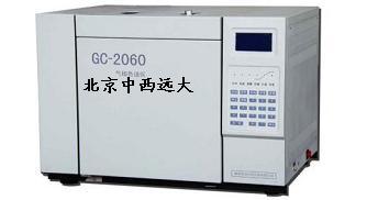 煤气检测色谱仪