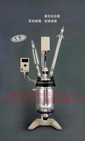 真空反应器(10L）