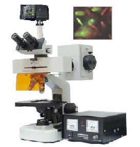 正置荧光显微镜