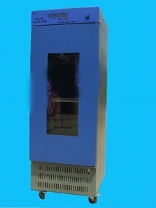 生化培养箱/BOD培养箱