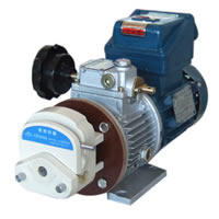 取样泵（） 国产 配耐有机溶剂泵头 YZ1515X