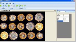 玉米考种分析系统