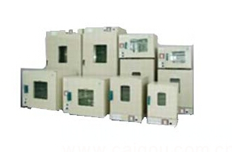 电热恒温鼓风干燥箱