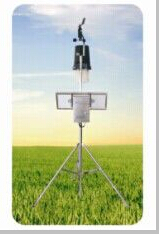 田间小气候信息