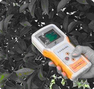 光合有效辐射记录仪(光量子计)