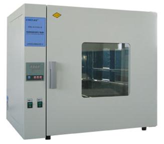 电热恒温鼓风干燥箱