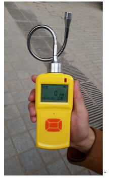 单一气体检测仪