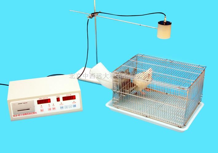 自主活动测试仪