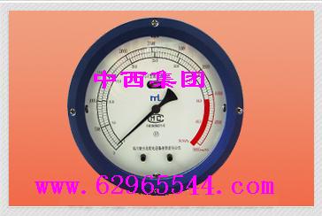 双波纹管差压液位计(2.5m)