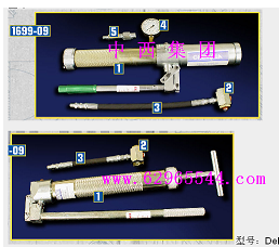 手动高压阀门注脂枪(美国)