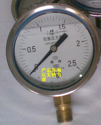 不锈钢耐振压力表
