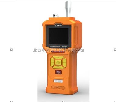 便携式泵吸式一氧化碳检测仪 型号:KN15/GT903-CO