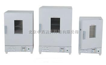 立式鼓风干燥箱 型号:SX11-DGG-9140B