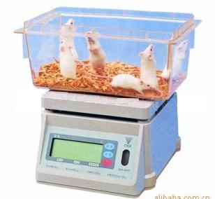 称量实验大小鼠专用电子秤