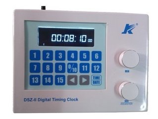 液晶数显式电子定时钟 型号:DSZ-II