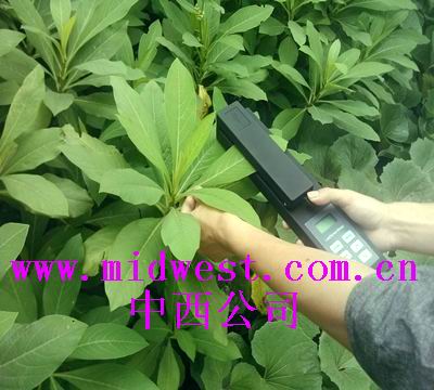 活体叶面积测量仪 型号:ZX/LAM-B