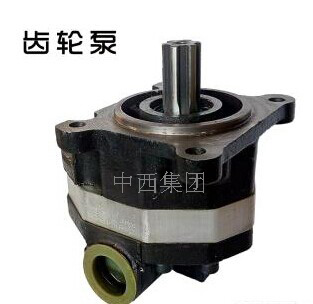 不锈钢微型齿轮泵(直流型) 型号:ZN42-G306XK/DC24