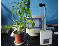 植物生长图像监测仪 型号:YK01-ECA-JC02