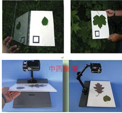 量大优惠-WinFOLIA 多用途叶面积仪 基础版 型号:UI55-STD4800