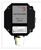 氢气检测探头(0-4%VOL)传感器部分为进口 型号:BF2-CPR-G