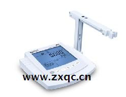 溶解氧测定仪 型号:SP56-ZX980