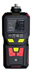 便携式多功能氨气检测报警仪 型号:GP19-NGP40- NH3