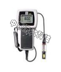 便携式DO分析仪pro plus 型号:PX22-550A