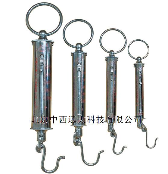 管形测力计 型号:TL6-KL-30