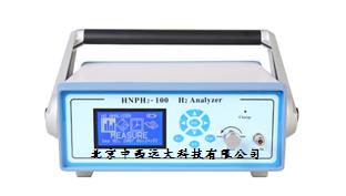 氢气分析仪（探头德国的） 型号:ZX7M-HNPH2-100 库号：M386600