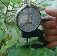 叶片厚度计 型号:SJN-YH-1 库号：M403682