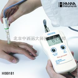 H5HI99181型便携式pH温度测定仪
